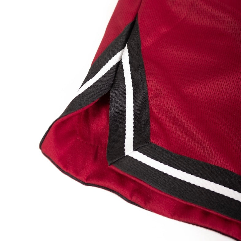 FIRE BASKETBALL SHORTS